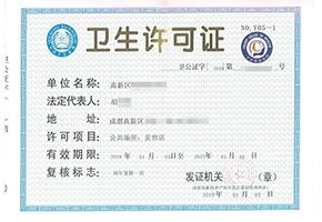 衛生許可證信息咨詢服務（不含許可類）